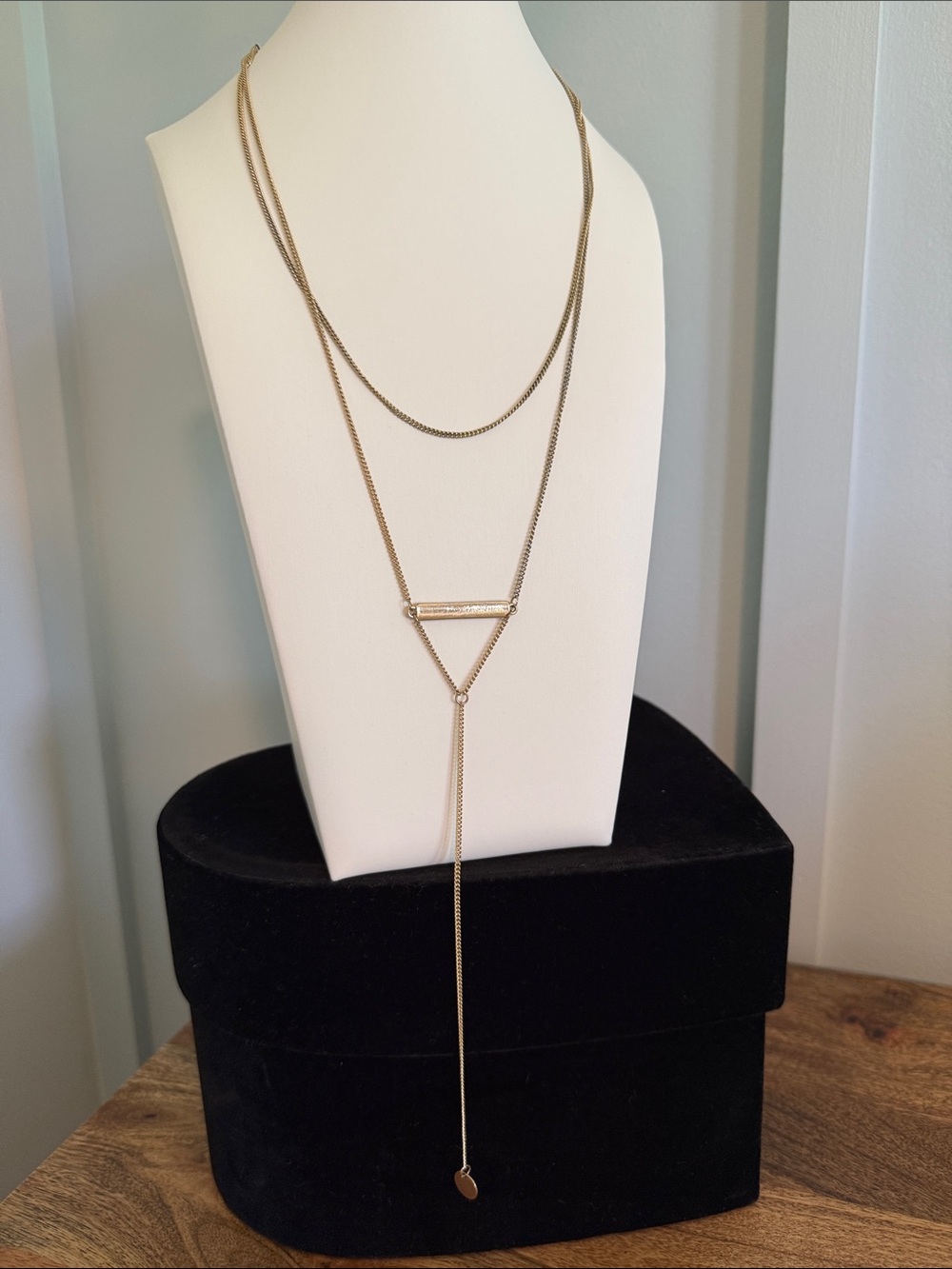 Delicate Gold Layered Y-Necklace
